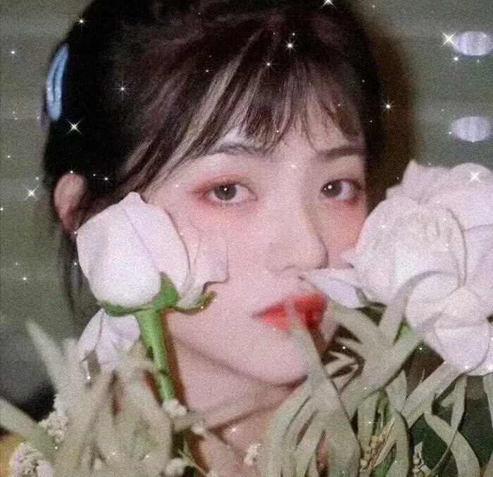 泰山传奇