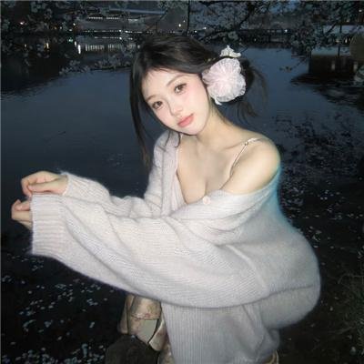 风尘双侠